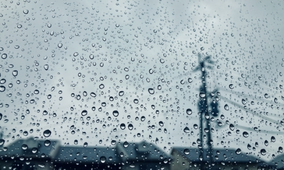 雨が降る様子