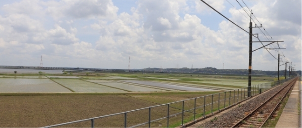 田んぼが広がる景色