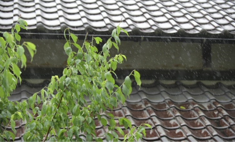 雨が降る様子