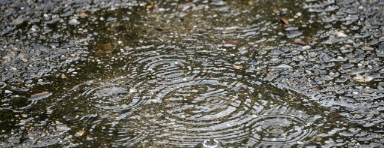 雨でできた水たまり