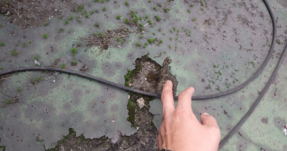 防水層が剥がれた様子